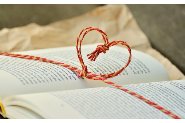 2024高考作文热点：环境与修养的交响曲