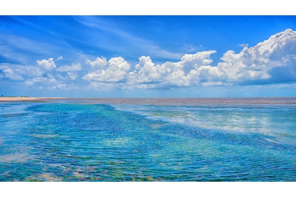 2024高考作文模拟解析：心怀壮志，行稳致远——从《论语·先进篇》谈志向选择