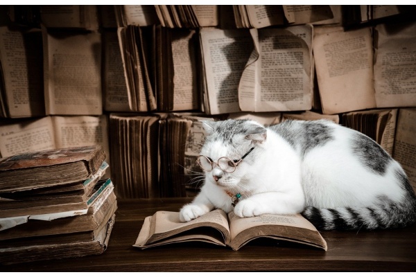 作文提升秘籍：《人民日报》八字短句法，为你的文字添彩！