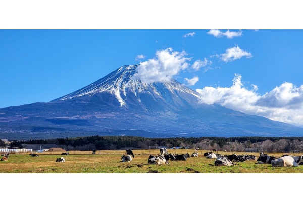 初中作文进阶指南：42句小众名言，让你的