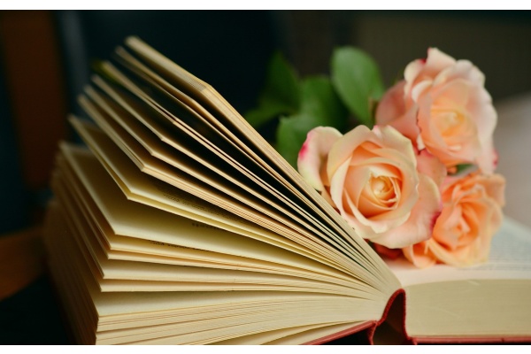 2022中考作文指南:青春成长路上的“圣洁之花”与“暖心小幸福”