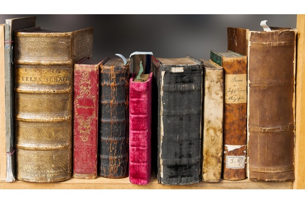 2024高考作文模拟：探寻“进”与“止”的人生智慧