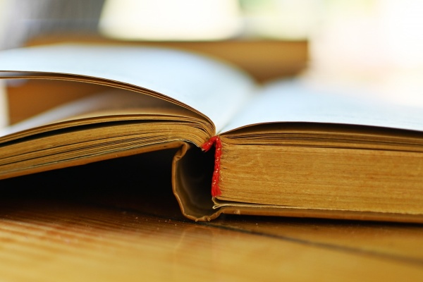 2021松江初三一模语文卷 含答案