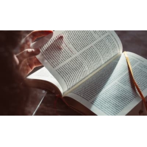 有师如斯_1500字