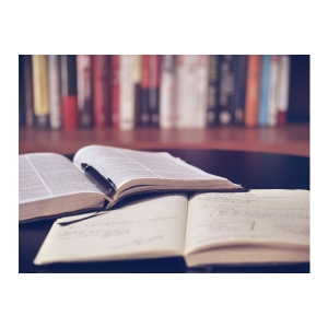 爸爸与父亲_300字