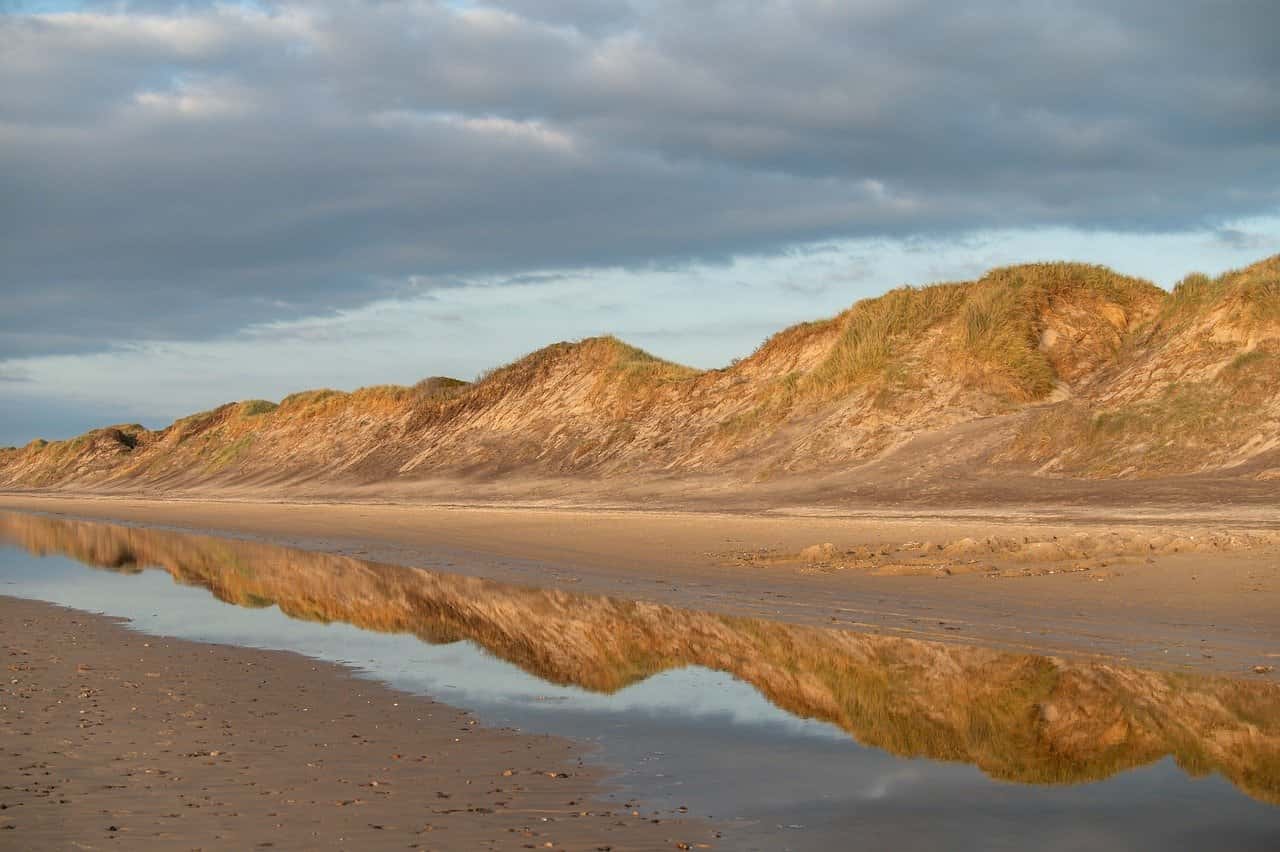 高一作文：家的温馨画卷，心灵的避风港
