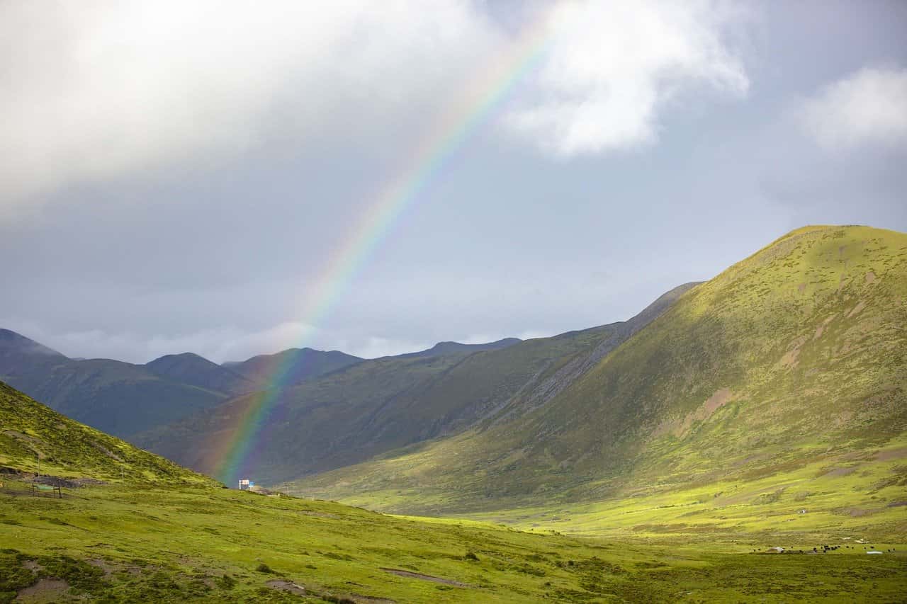 萌宠相伴、神笔奇遇与2020记忆：三篇小